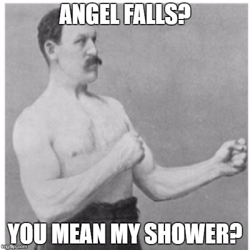 Overly Manly Man Meme | ANGEL FALLS? YOU MEAN MY SHOWER? | image tagged in memes,overly manly man | made w/ Imgflip meme maker