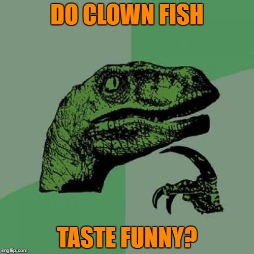 Funny how? Like a clown fish? Like I'm here to amuse you? | DO CLOWN FISH; TASTE FUNNY? | image tagged in memes,philosoraptor,clown fish,finding nemo,fish,animals | made w/ Imgflip meme maker
