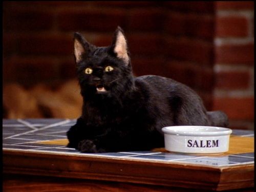 Salem Blank Meme Template