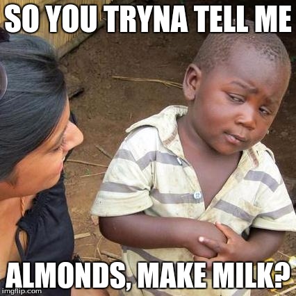 Third World Skeptical Kid | SO YOU TRYNA TELL ME; ALMONDS, MAKE MILK? | image tagged in memes,third world skeptical kid | made w/ Imgflip meme maker