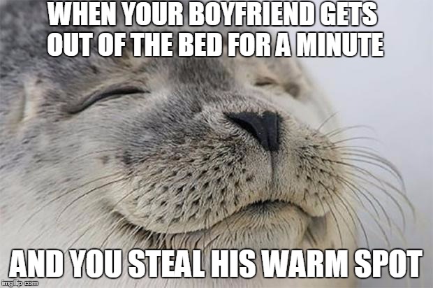 Satisfied Seal | WHEN YOUR BOYFRIEND GETS OUT OF THE BED FOR A MINUTE; AND YOU STEAL HIS WARM SPOT | image tagged in memes,satisfied seal | made w/ Imgflip meme maker