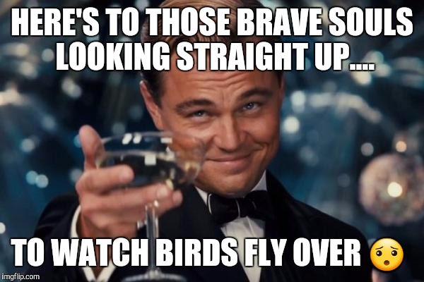 Leonardo Dicaprio Cheers | HERE'S TO THOSE BRAVE SOULS LOOKING STRAIGHT UP.... TO WATCH BIRDS FLY OVER 😯 | image tagged in memes,leonardo dicaprio cheers | made w/ Imgflip meme maker