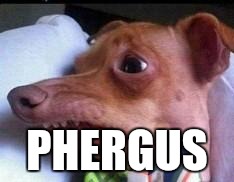 lisp dog | PHERGUS | image tagged in lisp dog | made w/ Imgflip meme maker