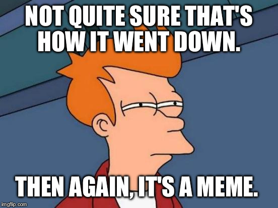 Futurama Fry Meme | NOT QUITE SURE THAT'S HOW IT WENT DOWN. THEN AGAIN, IT'S A MEME. | image tagged in memes,futurama fry | made w/ Imgflip meme maker