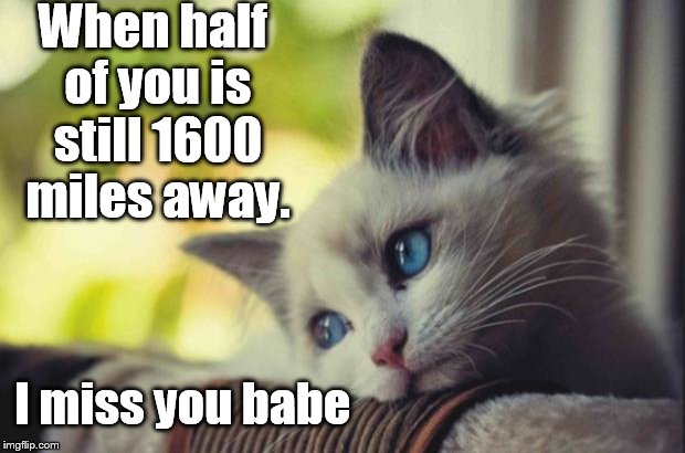 Sad cat | When half of you is still 1600 miles away. I miss you babe | image tagged in sad cat | made w/ Imgflip meme maker