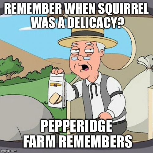 Pepperidge Farm Remembers | REMEMBER WHEN SQUIRREL WAS A DELICACY? PEPPERIDGE FARM REMEMBERS | image tagged in memes,pepperidge farm remembers | made w/ Imgflip meme maker