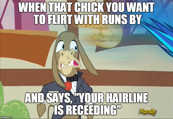 Donkey meme | WHEN THAT CHICK YOU WANT TO FLIRT WITH RUNS BY; AND SAYS, "YOUR HAIRLINE IS RECEEDING" | image tagged in my little pony | made w/ Imgflip meme maker