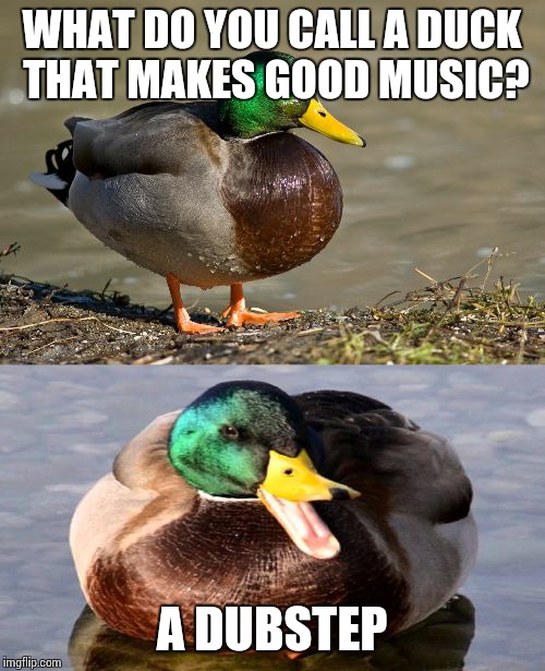 Duckstep | WHAT DO YOU CALL A DUCK THAT MAKES GOOD MUSIC? A DUBSTEP | image tagged in bad pun duck | made w/ Imgflip meme maker