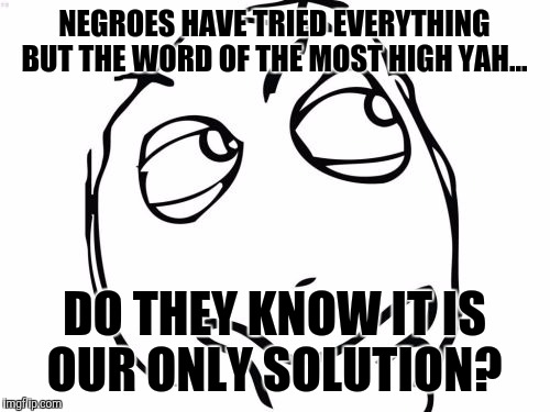 Question Rage Face Meme | NEGROES HAVE TRIED EVERYTHING BUT THE WORD OF THE MOST HIGH YAH... DO THEY KNOW IT IS OUR ONLY SOLUTION? | image tagged in memes,question rage face | made w/ Imgflip meme maker