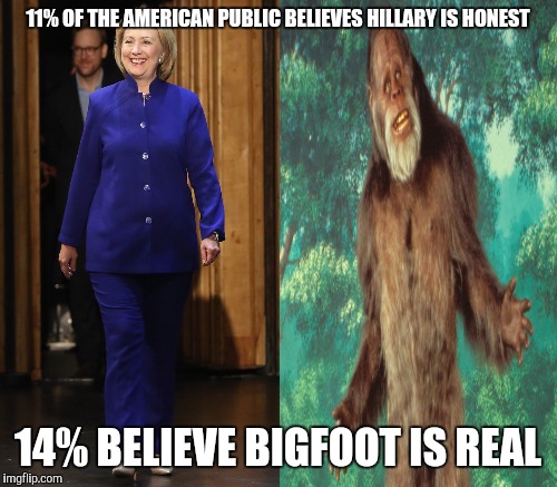 One sells beef jerky. The other sells globalism | 11% OF THE AMERICAN PUBLIC BELIEVES HILLARY IS HONEST; 14% BELIEVE BIGFOOT IS REAL | image tagged in memes,bigfoot | made w/ Imgflip meme maker