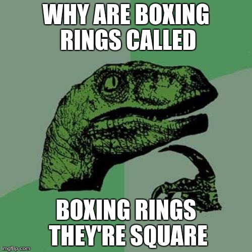 Philosoraptor | WHY ARE BOXING RINGS CALLED; BOXING RINGS THEY'RE SQUARE | image tagged in memes,philosoraptor | made w/ Imgflip meme maker