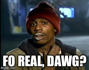 Y'all Got Any More Of That Meme | FO REAL, DAWG? | image tagged in memes,yall got any more of | made w/ Imgflip meme maker