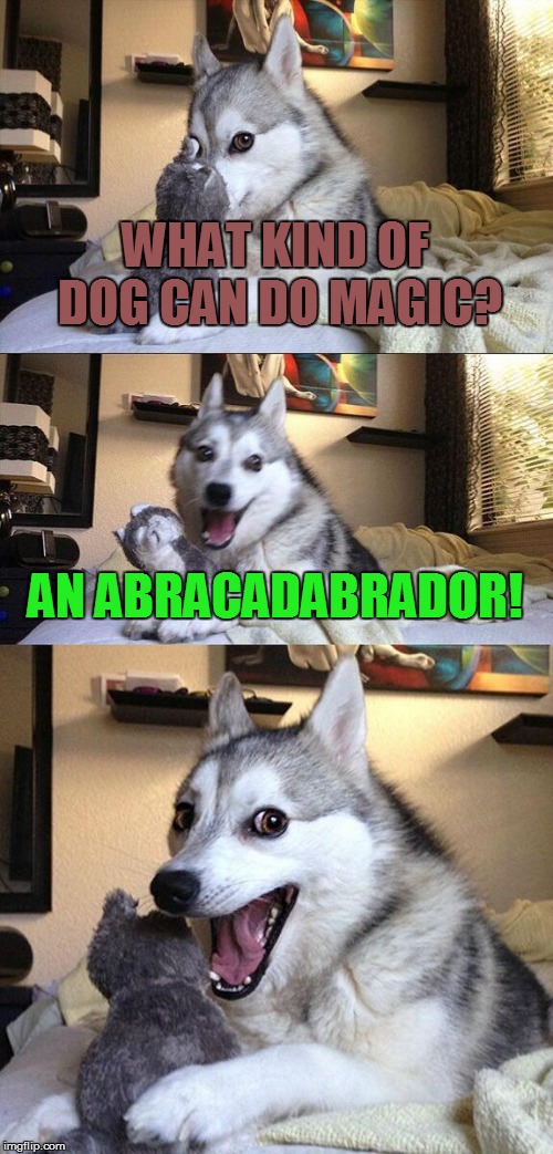 Bad Pun Dog | WHAT KIND OF DOG CAN DO MAGIC? AN ABRACADABRADOR! | image tagged in memes,bad pun dog,magic,funny dog memes | made w/ Imgflip meme maker