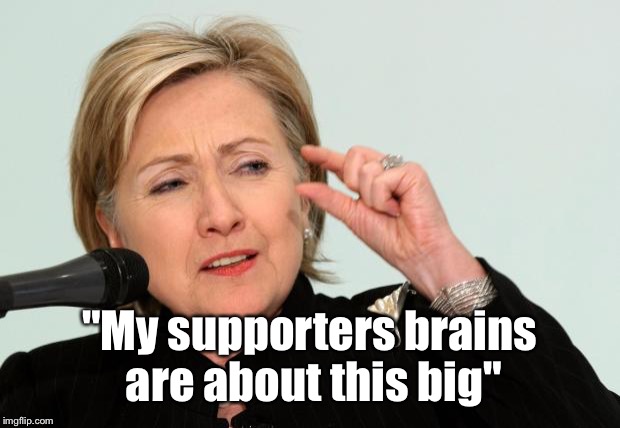Hillary Clinton Fingers | "My supporters brains are about this big" | image tagged in hillary clinton fingers | made w/ Imgflip meme maker