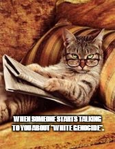 newspaper cat | WHEN SOMEONE STARTS TALKING TO YOU ABOUT "WHITE GENOCIDE". | image tagged in newspaper cat | made w/ Imgflip meme maker