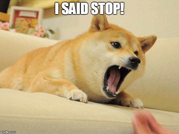 ANGRY DOGE | I SAID STOP! | image tagged in angry doge | made w/ Imgflip meme maker