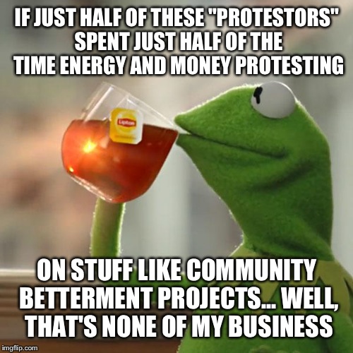 But That's None Of My Business Meme | IF JUST HALF OF THESE "PROTESTORS" SPENT JUST HALF OF THE TIME ENERGY AND MONEY PROTESTING ON STUFF LIKE COMMUNITY BETTERMENT PROJECTS... WE | image tagged in memes,but thats none of my business,kermit the frog | made w/ Imgflip meme maker