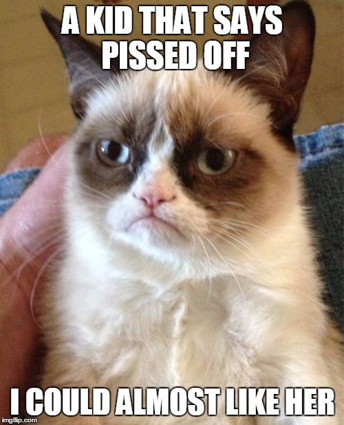 Grumpy Cat Meme | A KID THAT SAYS PISSED OFF I COULD ALMOST LIKE HER | image tagged in memes,grumpy cat | made w/ Imgflip meme maker