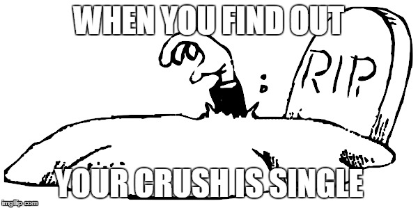 WHEN YOU FIND OUT; YOUR CRUSH IS SINGLE | image tagged in crush,true story | made w/ Imgflip meme maker