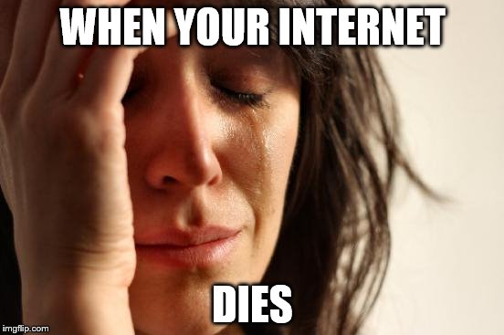 First World Problems Meme | WHEN YOUR INTERNET; DIES | image tagged in memes,first world problems | made w/ Imgflip meme maker