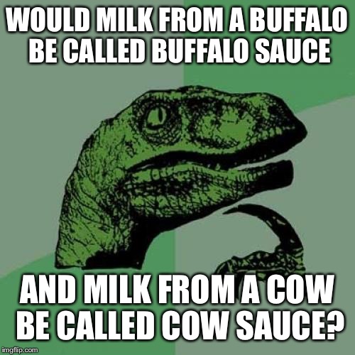 Philosoraptor Meme | WOULD MILK FROM A BUFFALO BE CALLED BUFFALO SAUCE; AND MILK FROM A COW BE CALLED COW SAUCE? | image tagged in memes,philosoraptor | made w/ Imgflip meme maker