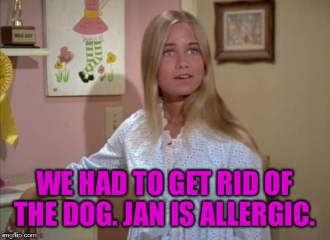 WE HAD TO GET RID OF THE DOG. JAN IS ALLERGIC. | made w/ Imgflip meme maker