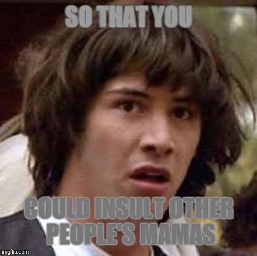 Conspiracy Keanu Meme | SO THAT YOU COULD INSULT OTHER PEOPLE'S MAMAS | image tagged in memes,conspiracy keanu | made w/ Imgflip meme maker