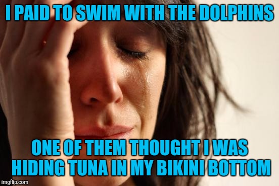 First World Problems Meme | I PAID TO SWIM WITH THE DOLPHINS; ONE OF THEM THOUGHT I WAS HIDING TUNA IN MY BIKINI BOTTOM | image tagged in memes,first world problems | made w/ Imgflip meme maker