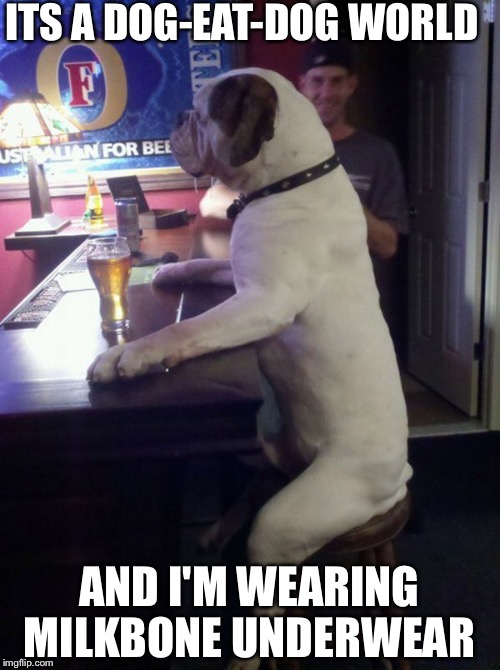 True story! | ITS A DOG-EAT-DOG WORLD; AND I'M WEARING MILKBONE UNDERWEAR | image tagged in dog | made w/ Imgflip meme maker