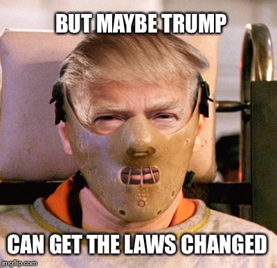 BUT MAYBE TRUMP CAN GET THE LAWS CHANGED | made w/ Imgflip meme maker