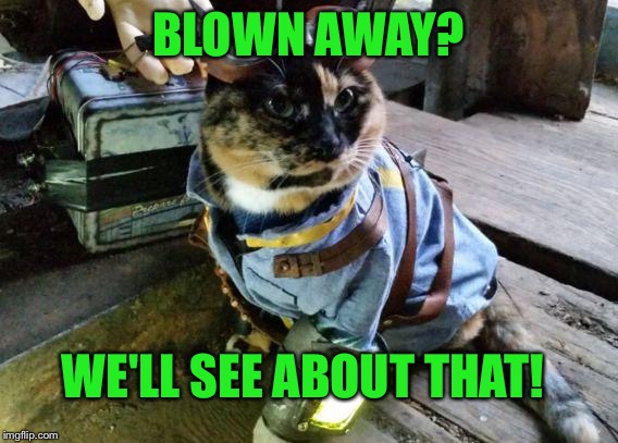 Fallout RayCat | BLOWN AWAY? WE'LL SEE ABOUT THAT! | image tagged in fallout raycat | made w/ Imgflip meme maker