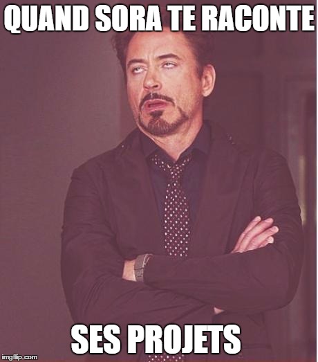 Face You Make Robert Downey Jr Meme | QUAND SORA TE RACONTE; SES PROJETS | image tagged in memes,face you make robert downey jr | made w/ Imgflip meme maker