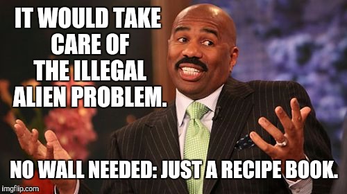 Steve Harvey Meme | IT WOULD TAKE CARE OF THE ILLEGAL ALIEN PROBLEM. NO WALL NEEDED: JUST A RECIPE BOOK. | image tagged in memes,steve harvey | made w/ Imgflip meme maker