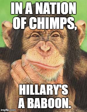 chimpanzee thinking | IN A NATION OF CHIMPS, HILLARY'S A BABOON. | image tagged in chimpanzee thinking | made w/ Imgflip meme maker