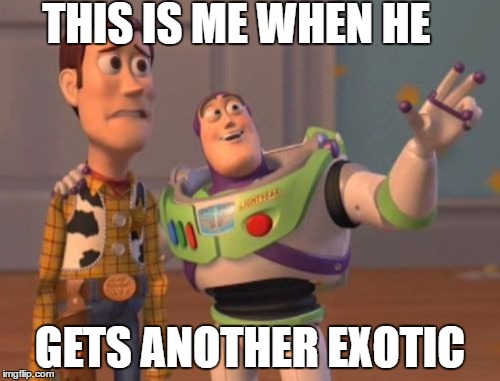 X, X Everywhere | THIS IS ME WHEN HE; GETS ANOTHER EXOTIC | image tagged in memes,x x everywhere | made w/ Imgflip meme maker