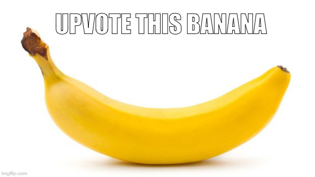 banana | UPVOTE THIS BANANA | image tagged in banana,upvote,iwanttobebacon,front page | made w/ Imgflip meme maker