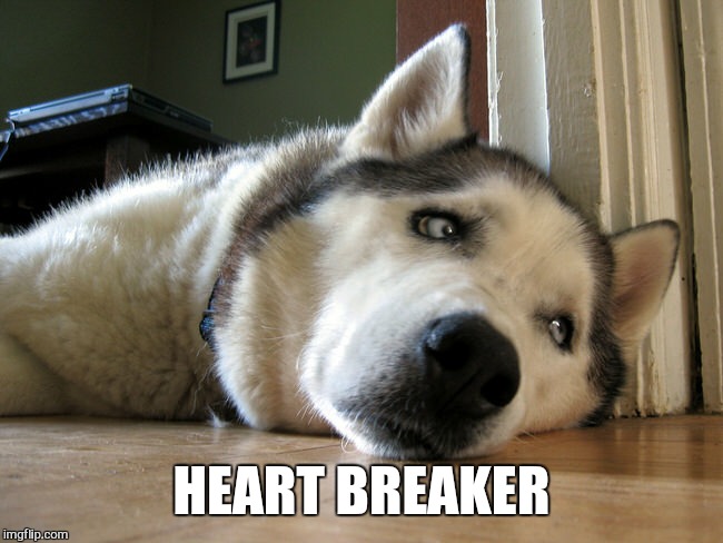 HEART BREAKER | made w/ Imgflip meme maker