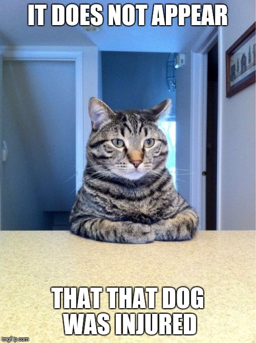 Take A Seat Cat | IT DOES NOT APPEAR; THAT THAT DOG WAS INJURED | image tagged in memes,take a seat cat | made w/ Imgflip meme maker