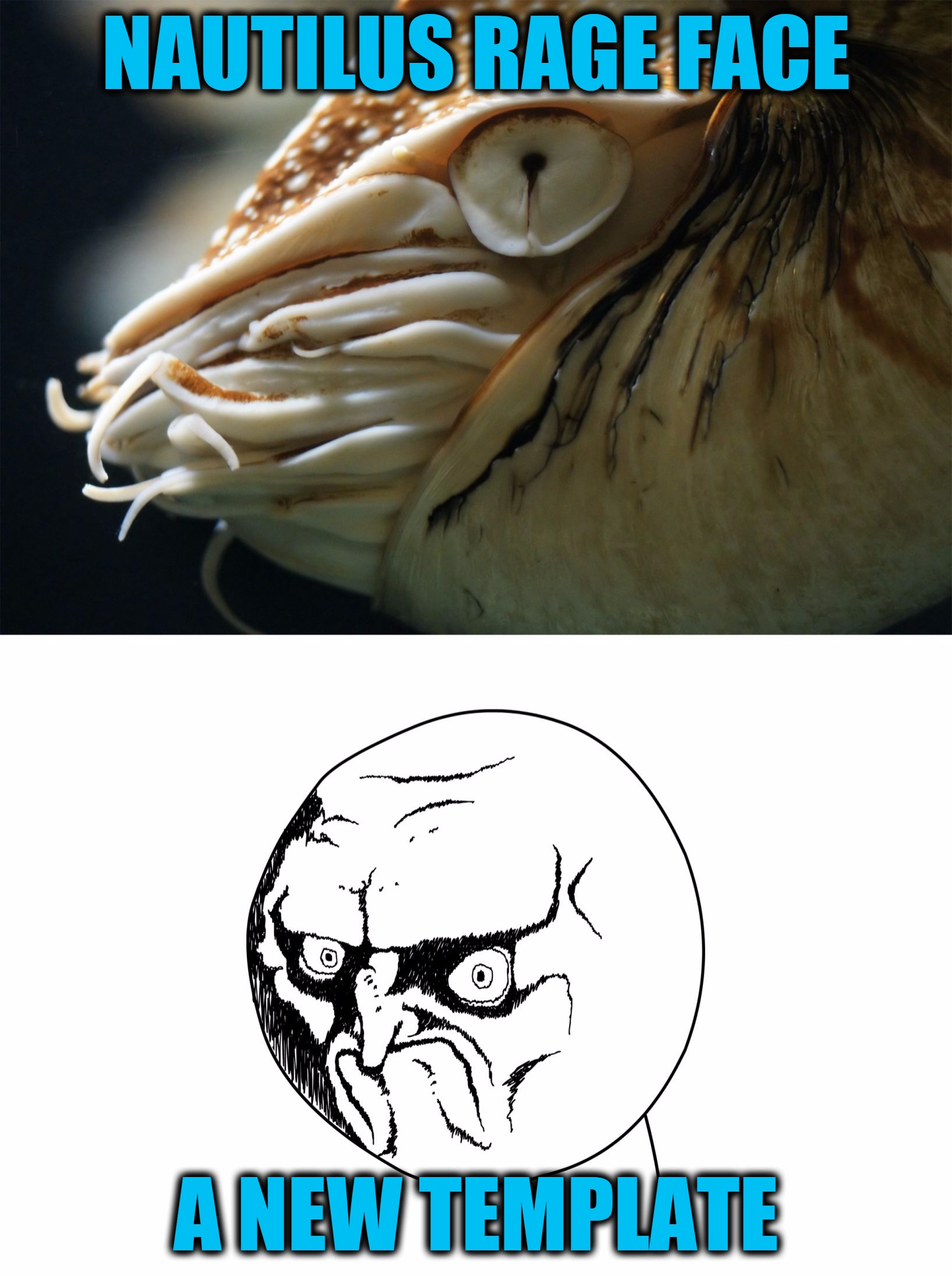 Nautilus Rage Face:  A New Template | NAUTILUS RAGE FACE; A NEW TEMPLATE | image tagged in nautilus rage face,no rage face,memes,custom template,nautilus,headfoot | made w/ Imgflip meme maker