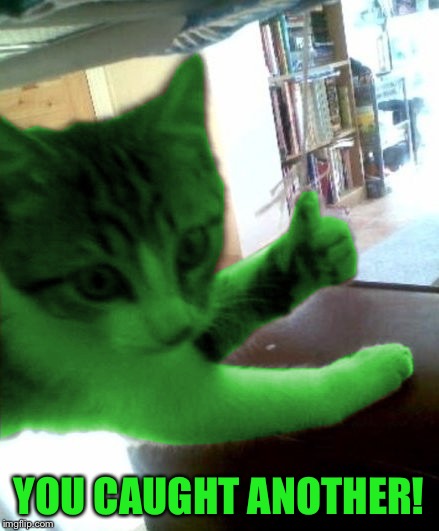 thumbs up RayCat | YOU CAUGHT ANOTHER! | image tagged in thumbs up raycat | made w/ Imgflip meme maker