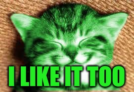 happy RayCat | I LIKE IT TOO | image tagged in happy raycat | made w/ Imgflip meme maker