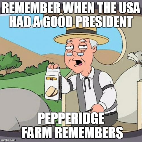 Pepperidge Farm Remembers Meme | REMEMBER WHEN THE USA HAD A GOOD PRESIDENT; PEPPERIDGE FARM REMEMBERS | image tagged in memes,pepperidge farm remembers | made w/ Imgflip meme maker