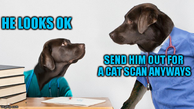 SEND HIM OUT FOR A CAT SCAN ANYWAYS HE LOOKS OK | made w/ Imgflip meme maker