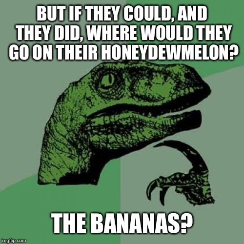 Philosoraptor Meme | BUT IF THEY COULD, AND THEY DID, WHERE WOULD THEY GO ON THEIR HONEYDEWMELON? THE BANANAS? | image tagged in memes,philosoraptor | made w/ Imgflip meme maker
