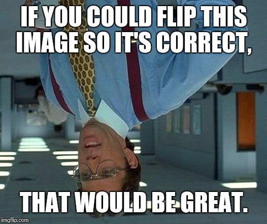 That Would Be Great | IF YOU COULD FLIP THIS IMAGE SO IT'S CORRECT, THAT WOULD BE GREAT. | image tagged in memes,that would be great | made w/ Imgflip meme maker