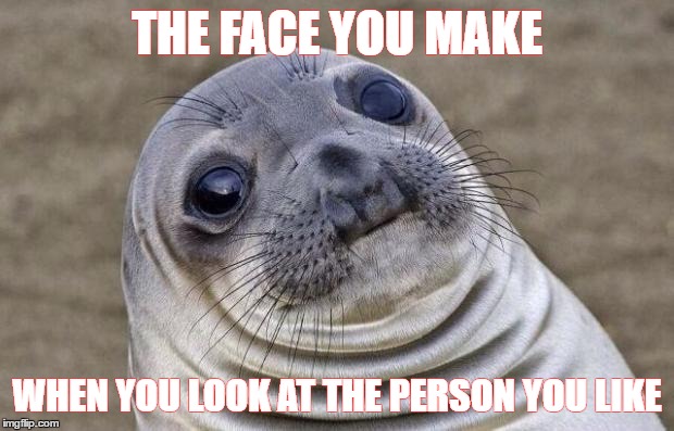 Awkward Moment Sealion Meme | THE FACE YOU MAKE; WHEN YOU LOOK AT THE PERSON YOU LIKE | image tagged in memes,awkward moment sealion | made w/ Imgflip meme maker