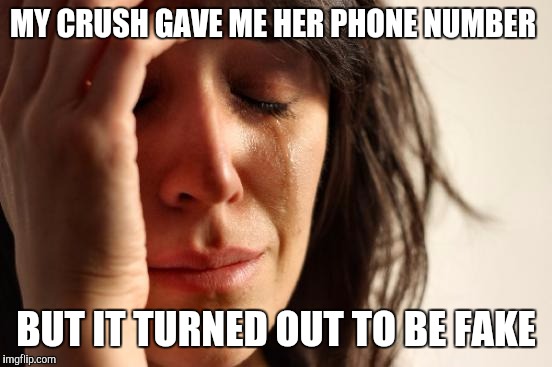 First World Problems Meme | MY CRUSH GAVE ME HER PHONE NUMBER; BUT IT TURNED OUT TO BE FAKE | image tagged in memes,first world problems | made w/ Imgflip meme maker