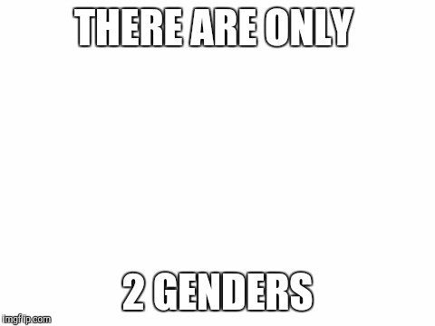Blank White Template | THERE ARE ONLY; 2 GENDERS | image tagged in blank white template | made w/ Imgflip meme maker