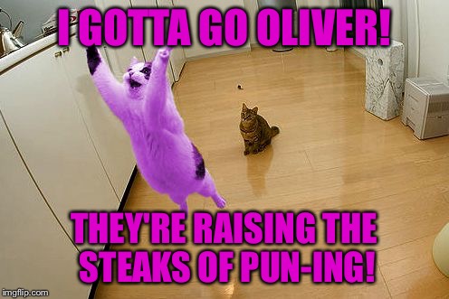 RayCat save the world | I GOTTA GO OLIVER! THEY'RE RAISING THE STEAKS OF PUN-ING! | image tagged in raycat save the world | made w/ Imgflip meme maker