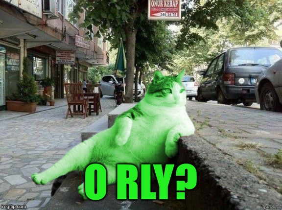 RayCat relaxing | O RLY? | image tagged in raycat relaxing | made w/ Imgflip meme maker